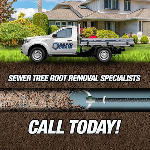 Sewer Tree Root Removal Specialists In Balingool
